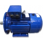 SILNIK ELEKTRYCZNY Z KOŁNIERZEM 15kW 400/690V 1455obr WAŁEK 42mm 3-FAZOWY